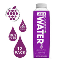 JUST Water Infused - Organic Blackberry (Pack of 12)