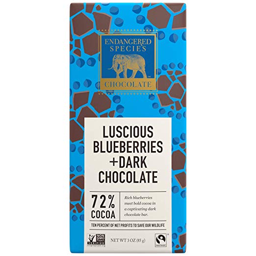 Sea Turtle, Natural Dark Chocolate (72%) with Blueberries, 3-Ounce Bars (Pack of 12)